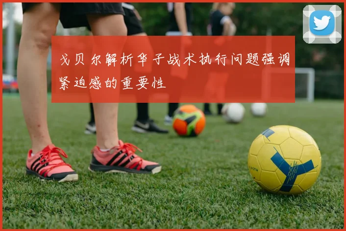 戈贝尔解析华子战术执行问题强调紧迫感的重要性