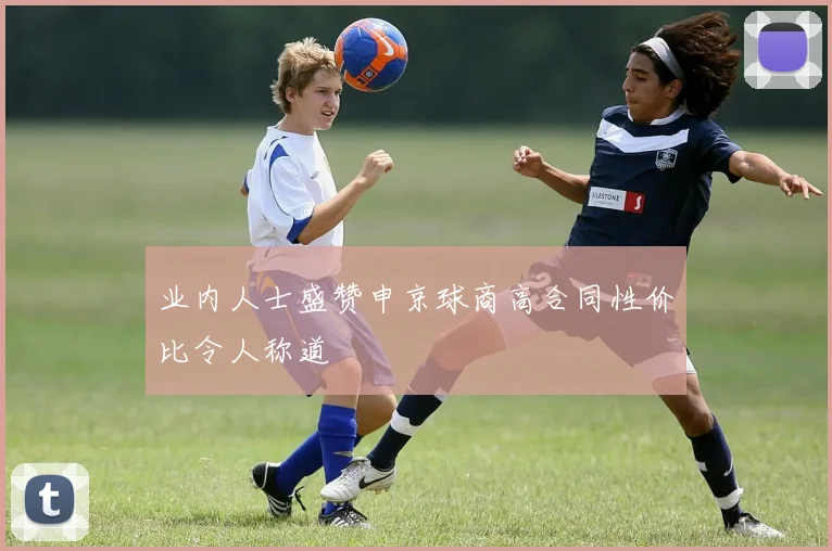 业内人士盛赞申京球商高合同性价比令人称道